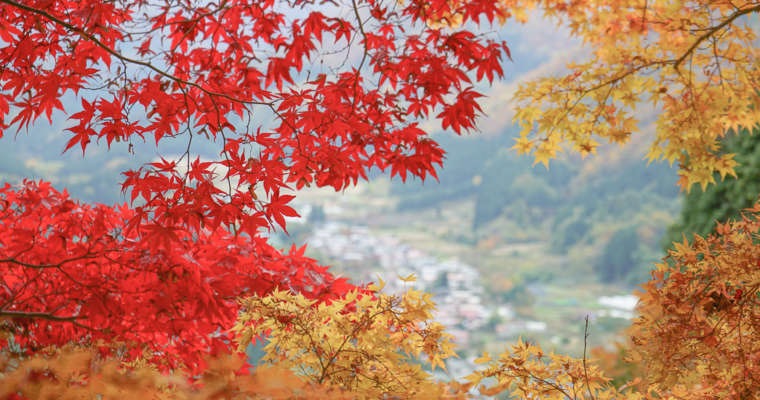 Automne au Japon, une belle saison