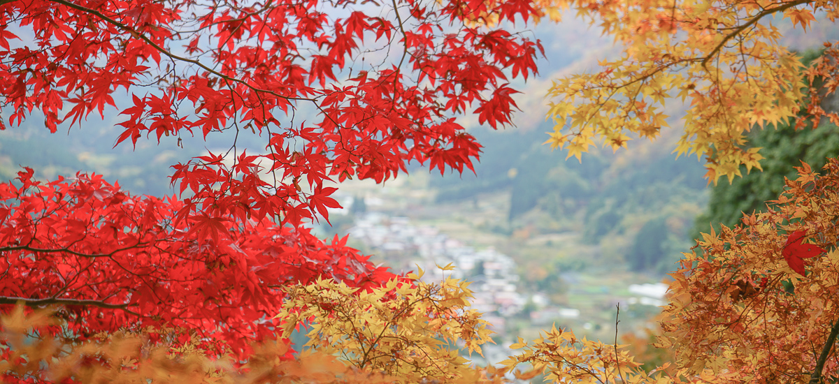 Automne au Japon, une belle saison