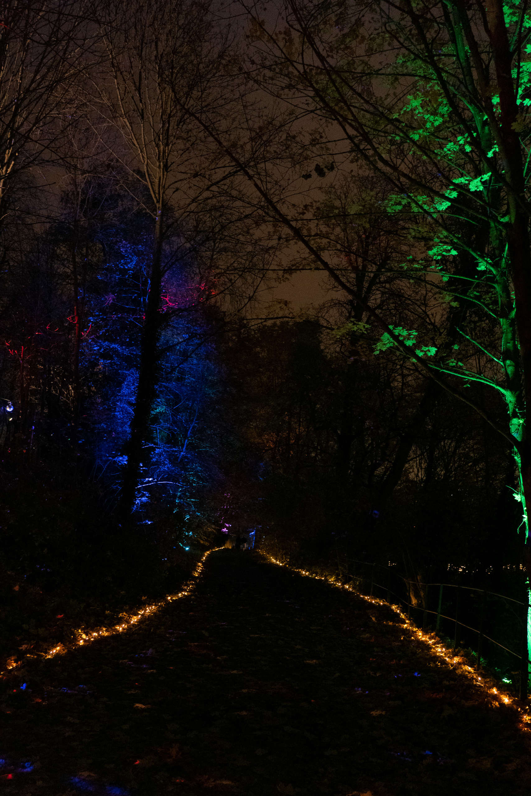 Illuminations Parc de St Cloud