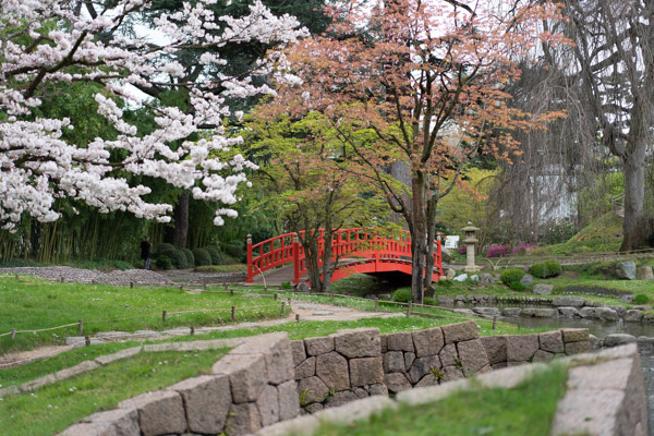 Sakura parc Albert Kahn