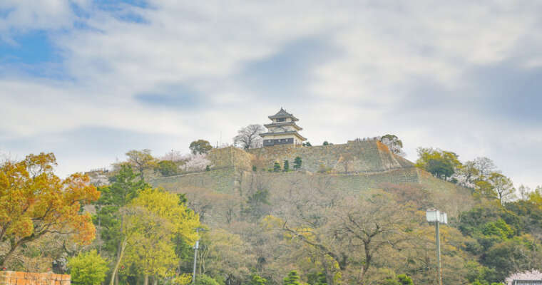 Sélection photos Chateaux du Japon du mois