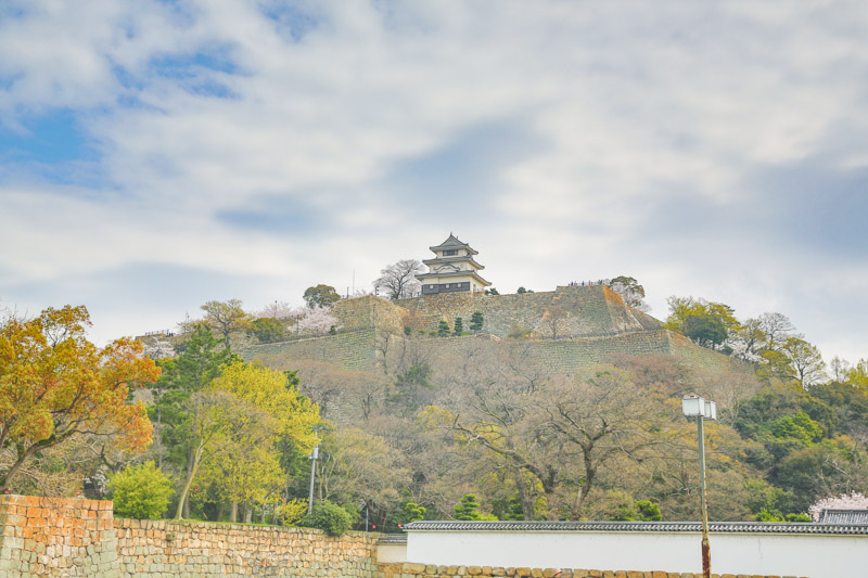 Château de Marugame ile de Kyushu