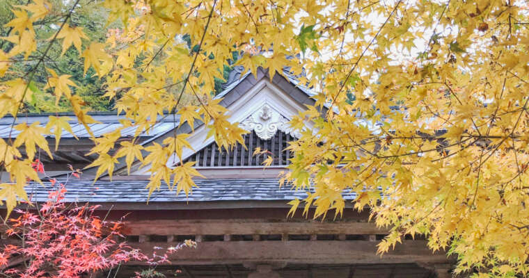 L’automne au Japon en vidéo