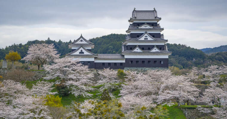 Ozu, la ville-château