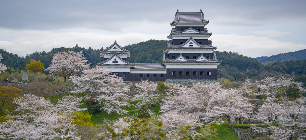 Ozu, la ville-château