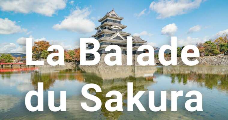 L’histoire du documentaire « La Balade du Sakura »