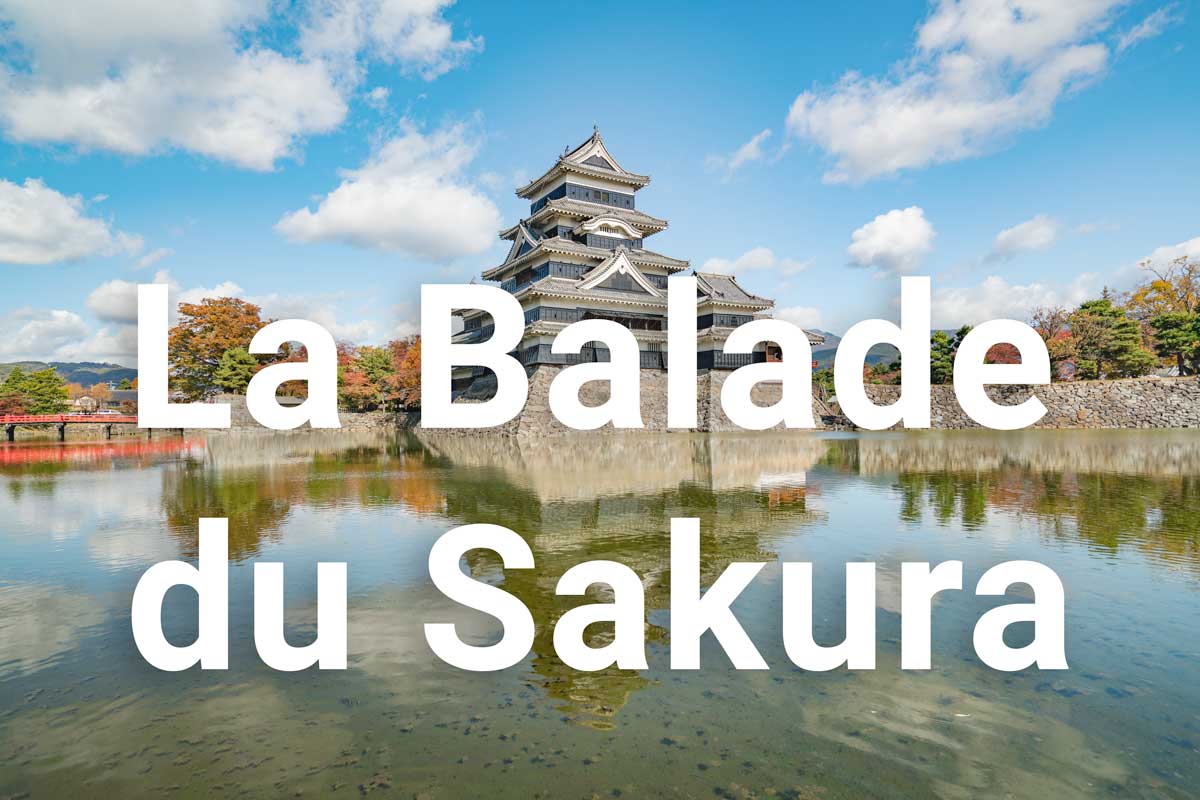 L’histoire du documentaire « La Balade du Sakura »